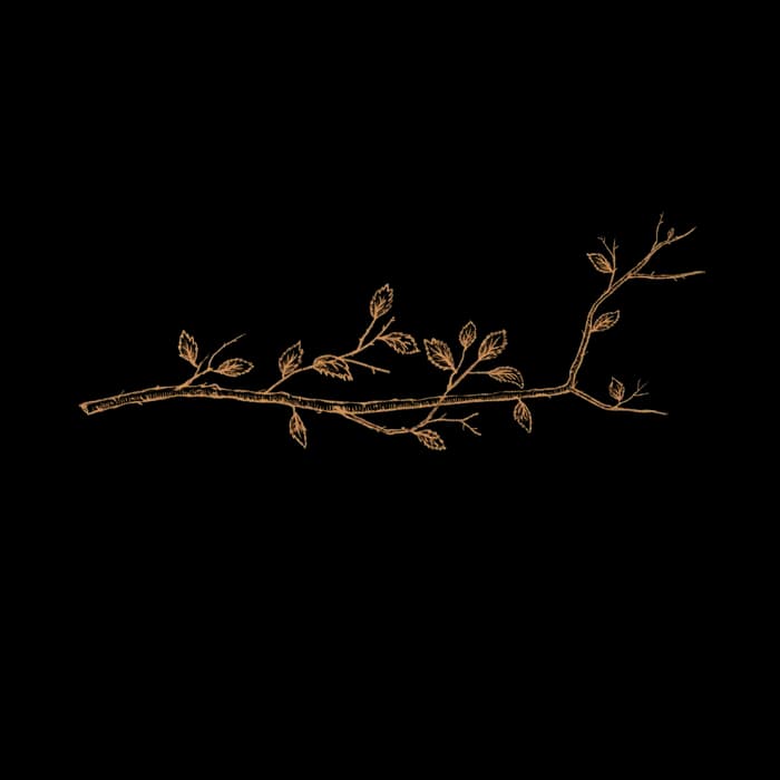 Branch left