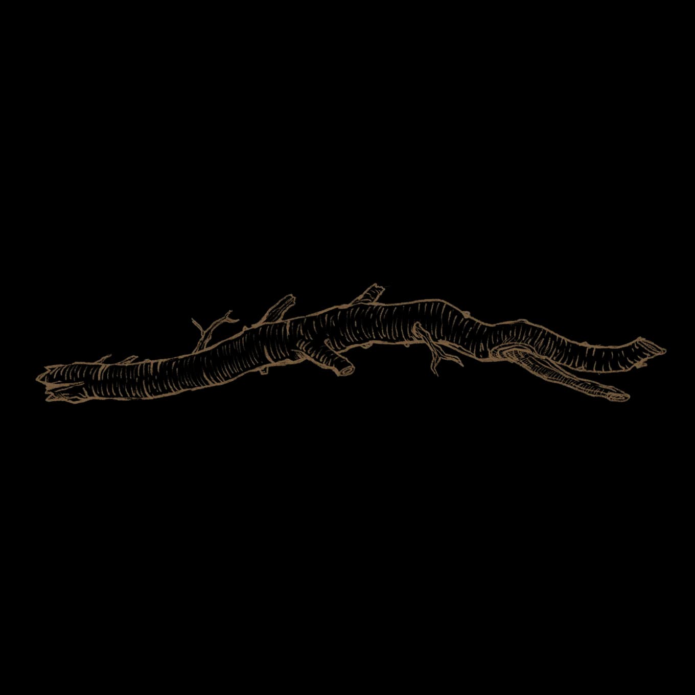 Branch right