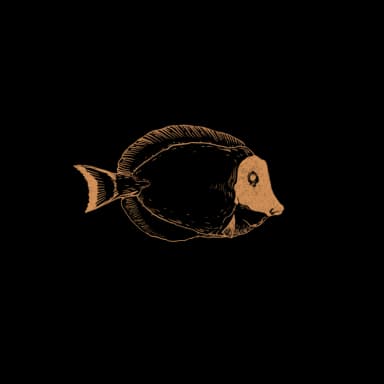 Brown Tang