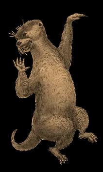 Paid Otter