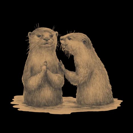 Two otters facing each other