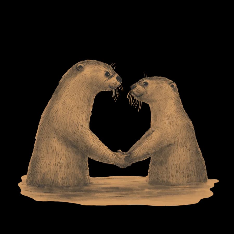 Otter couple illustration